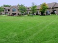 pool house back