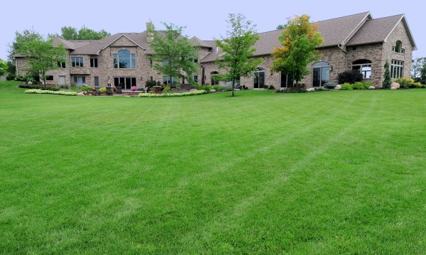 pool house back